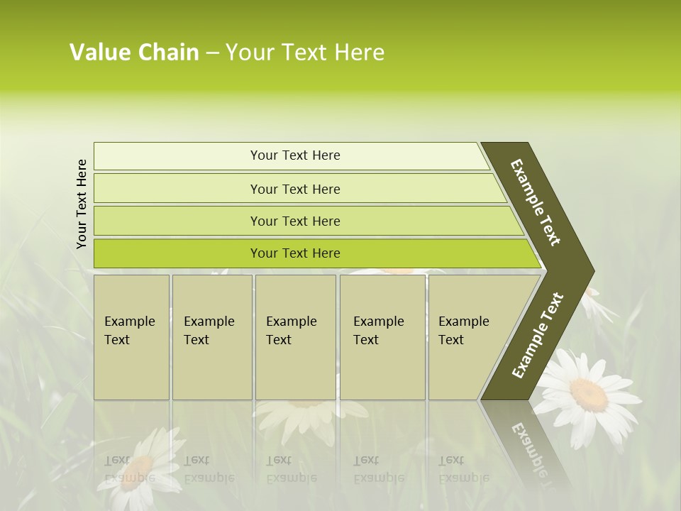 Daisy Beauty Herbal PowerPoint Template