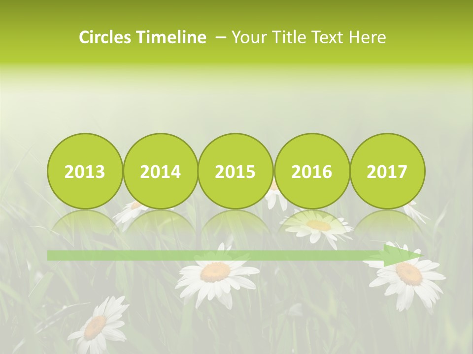 Daisy Beauty Herbal PowerPoint Template