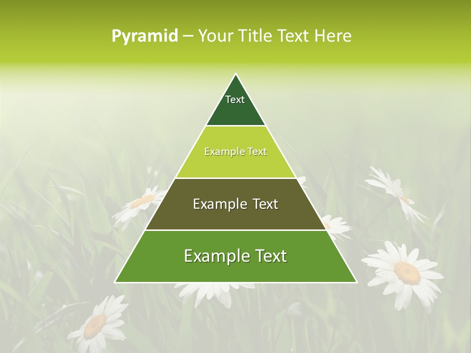 Daisy Beauty Herbal PowerPoint Template