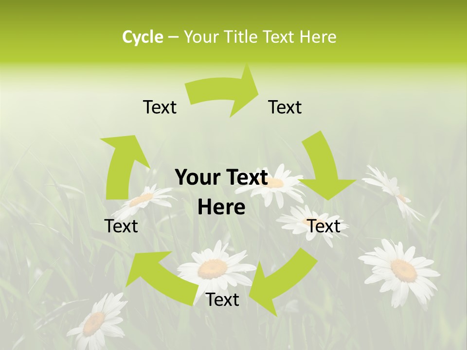 Daisy Beauty Herbal PowerPoint Template