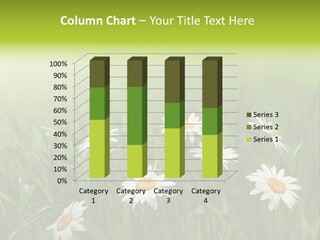 Daisy Beauty Herbal PowerPoint Template