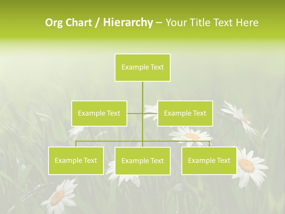 Daisy Beauty Herbal PowerPoint Template