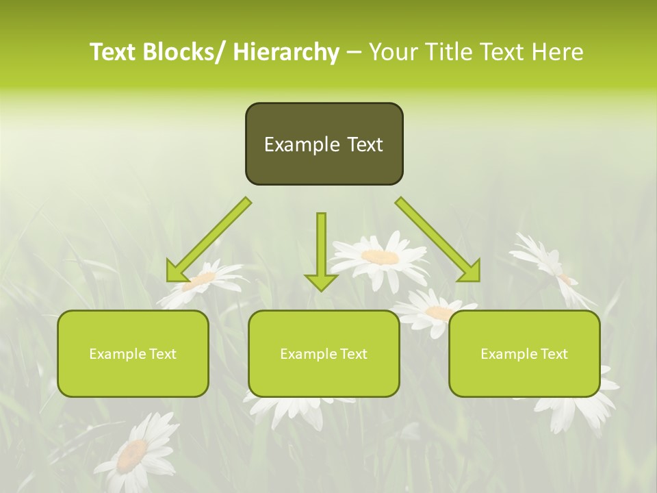 Daisy Beauty Herbal PowerPoint Template