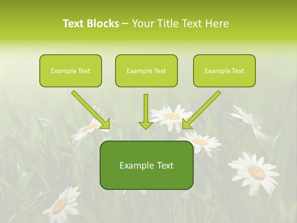 Daisy Beauty Herbal PowerPoint Template