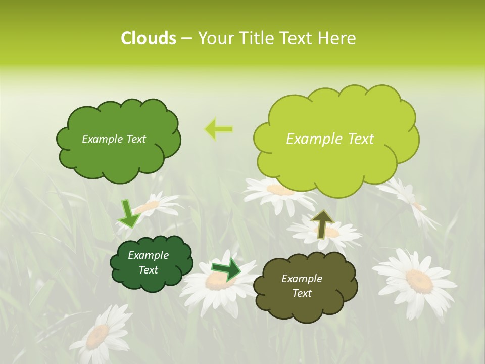 Daisy Beauty Herbal PowerPoint Template