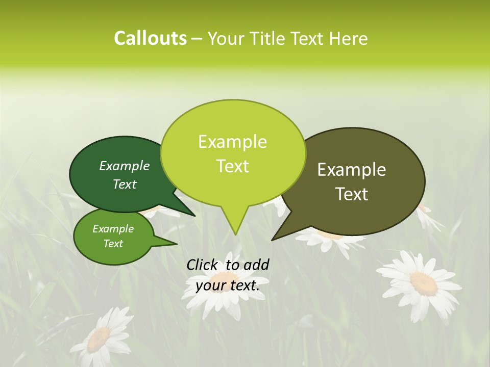 Daisy Beauty Herbal PowerPoint Template