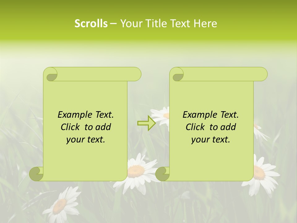 Daisy Beauty Herbal PowerPoint Template