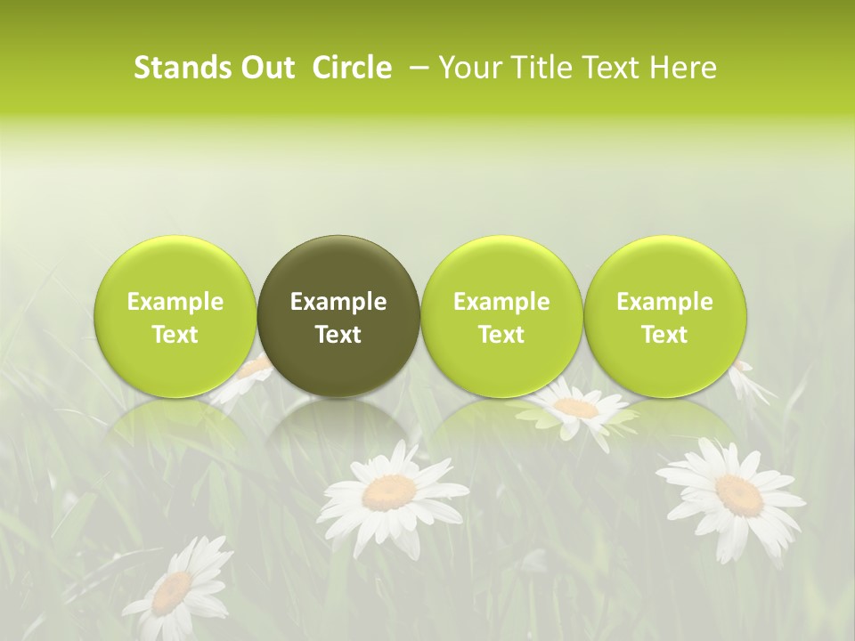 Daisy Beauty Herbal PowerPoint Template