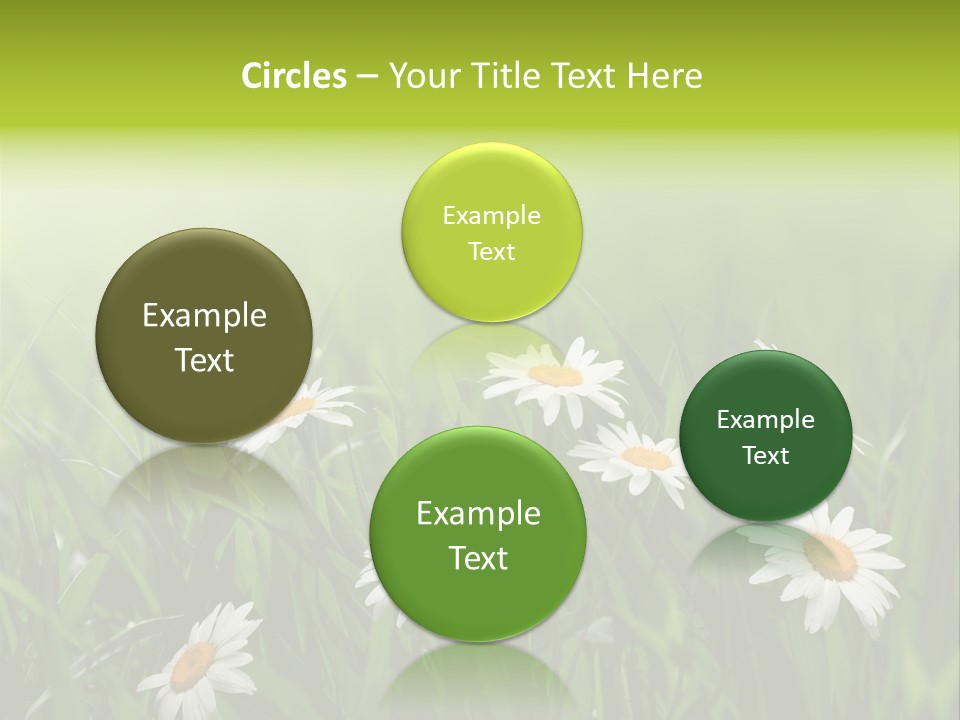Daisy Beauty Herbal PowerPoint Template