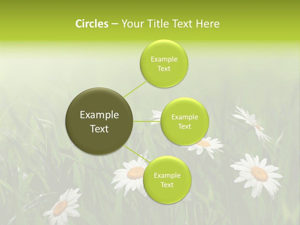 Daisy Beauty Herbal PowerPoint Template