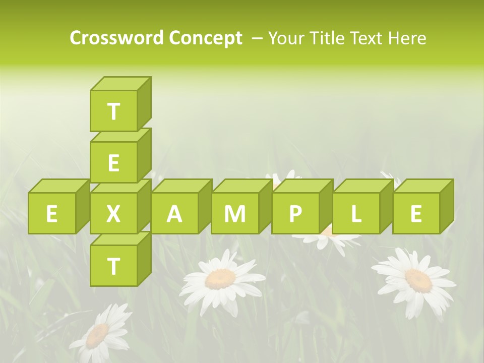 Daisy Beauty Herbal PowerPoint Template