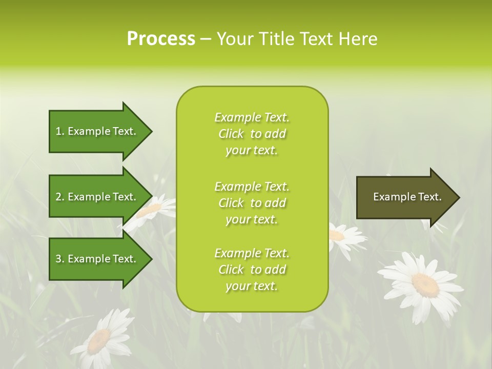 Daisy Beauty Herbal PowerPoint Template