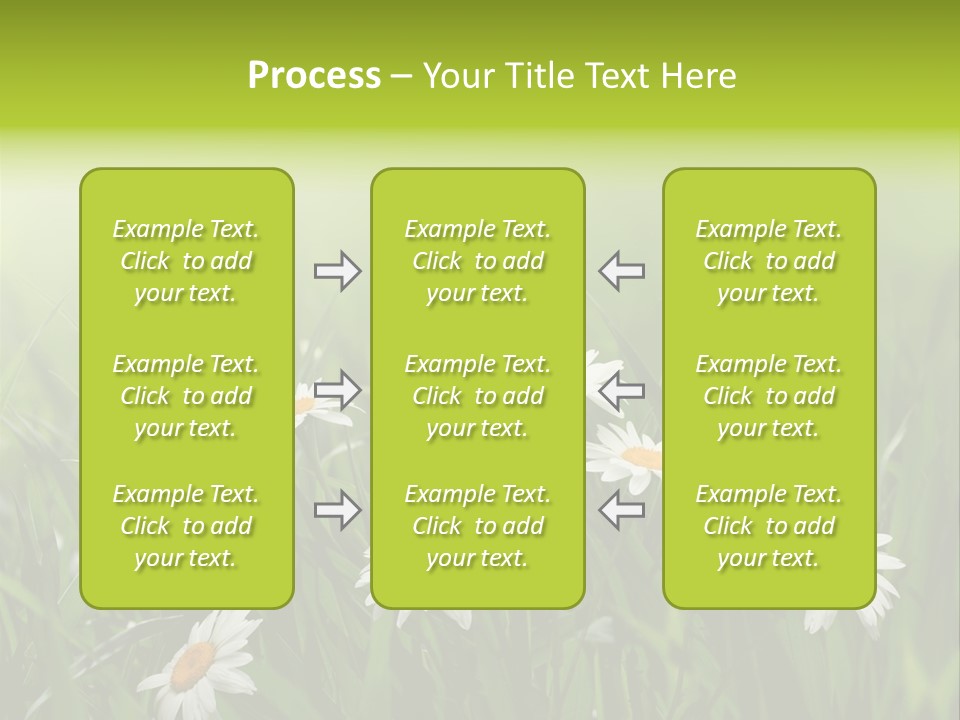 Daisy Beauty Herbal PowerPoint Template