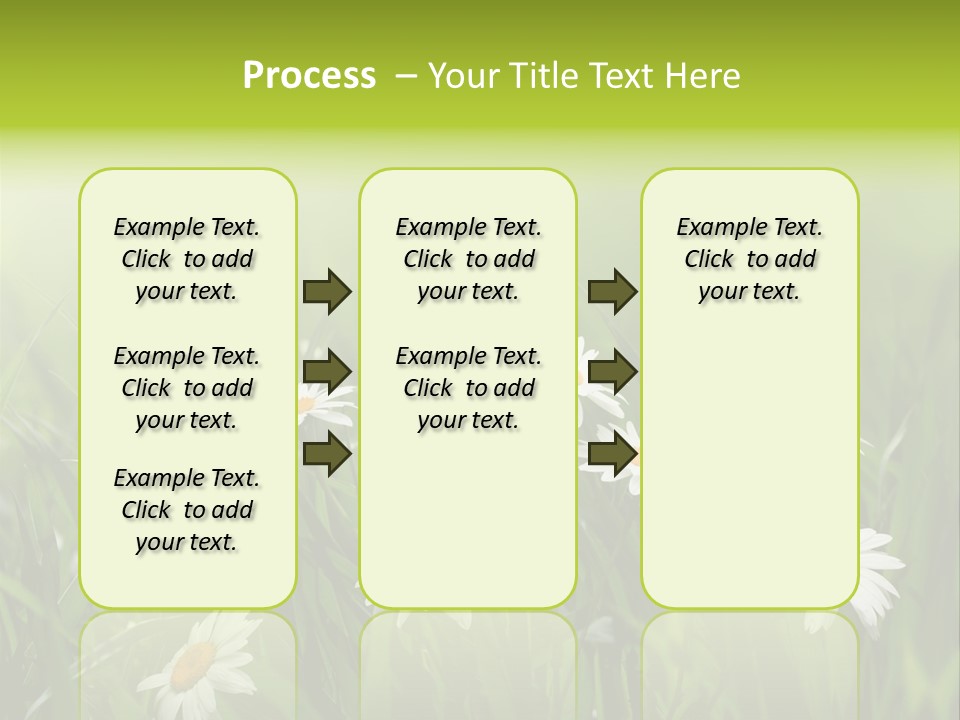 Daisy Beauty Herbal PowerPoint Template