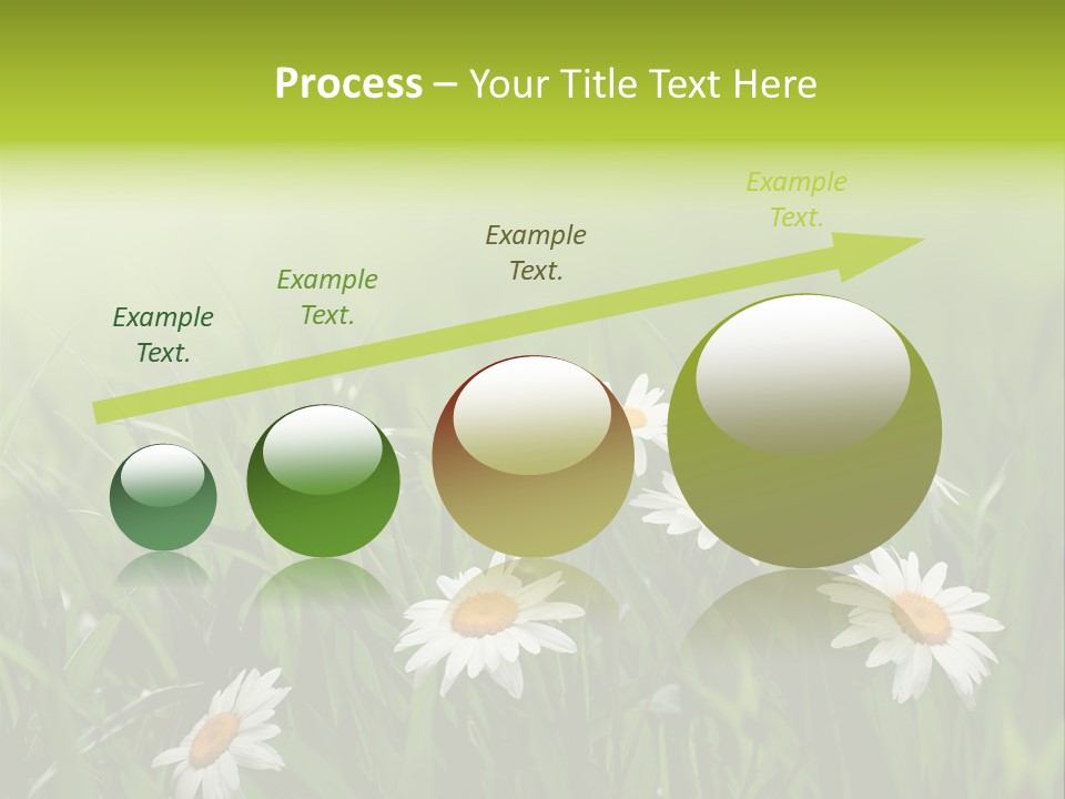Daisy Beauty Herbal PowerPoint Template