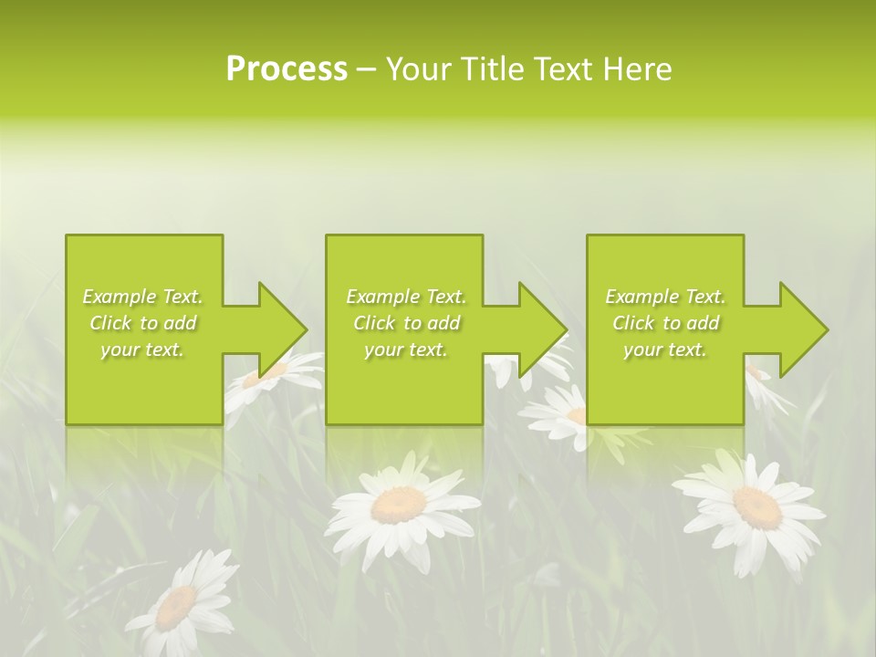 Daisy Beauty Herbal PowerPoint Template