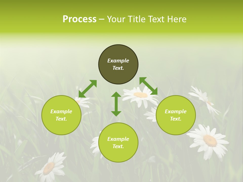 Daisy Beauty Herbal PowerPoint Template