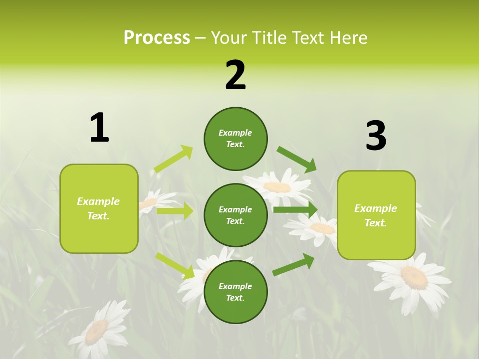 Daisy Beauty Herbal PowerPoint Template