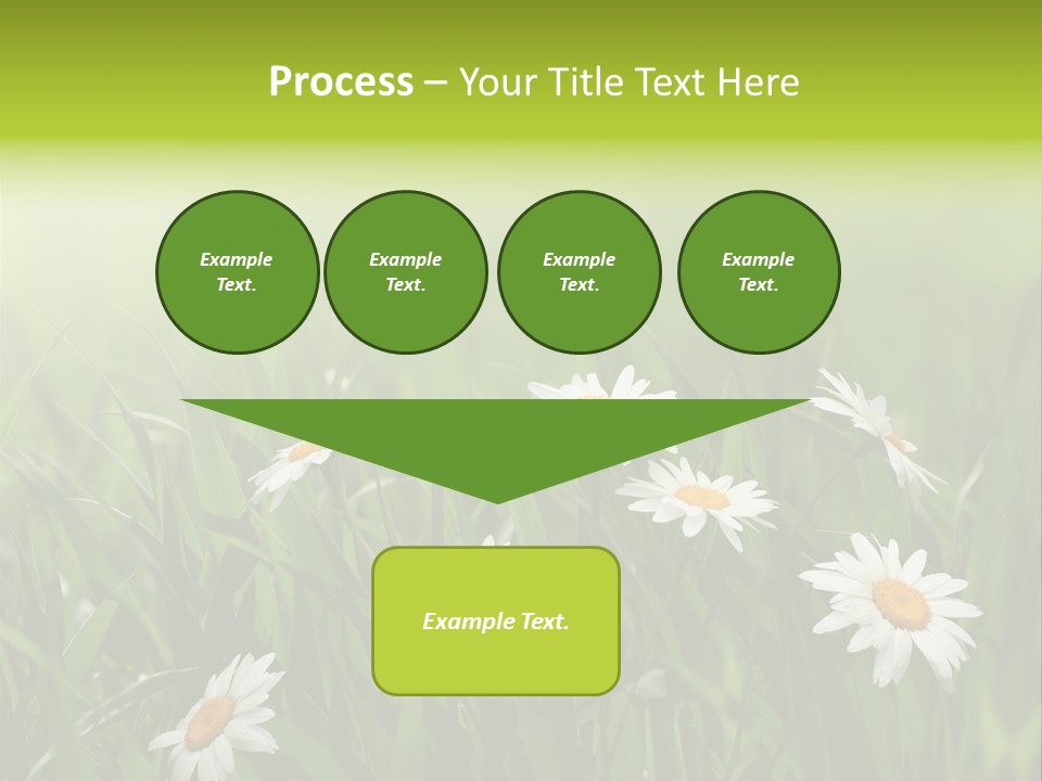 Daisy Beauty Herbal PowerPoint Template