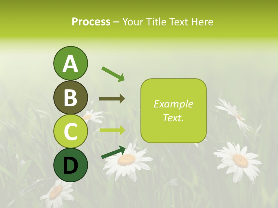 Daisy Beauty Herbal PowerPoint Template