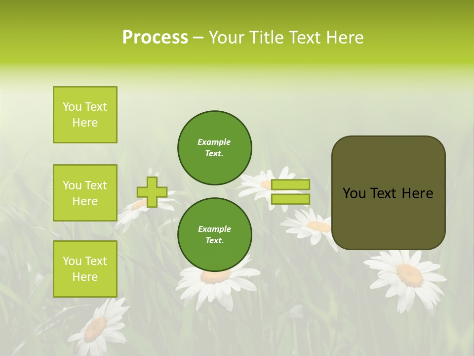Daisy Beauty Herbal PowerPoint Template