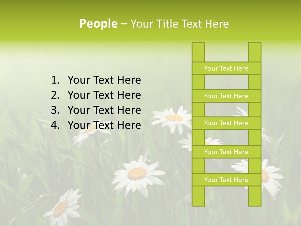 Daisy Beauty Herbal PowerPoint Template