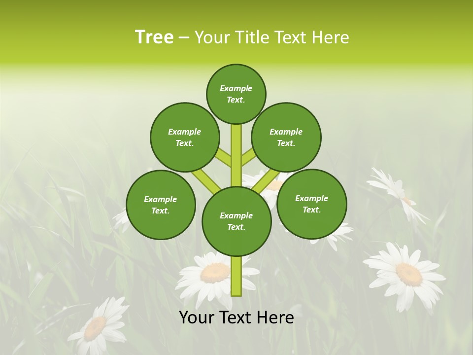 Daisy Beauty Herbal PowerPoint Template