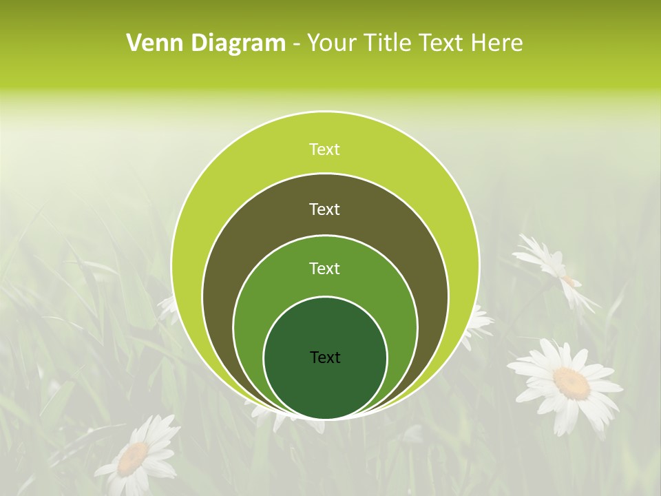 Daisy Beauty Herbal PowerPoint Template