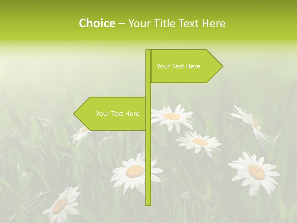 Daisy Beauty Herbal PowerPoint Template