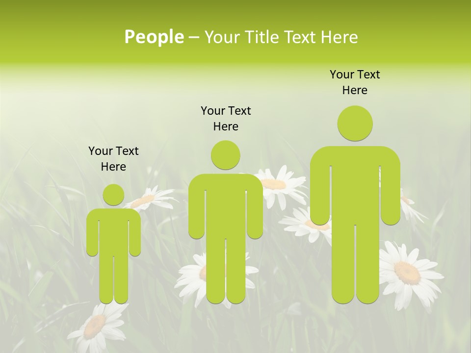 Daisy Beauty Herbal PowerPoint Template