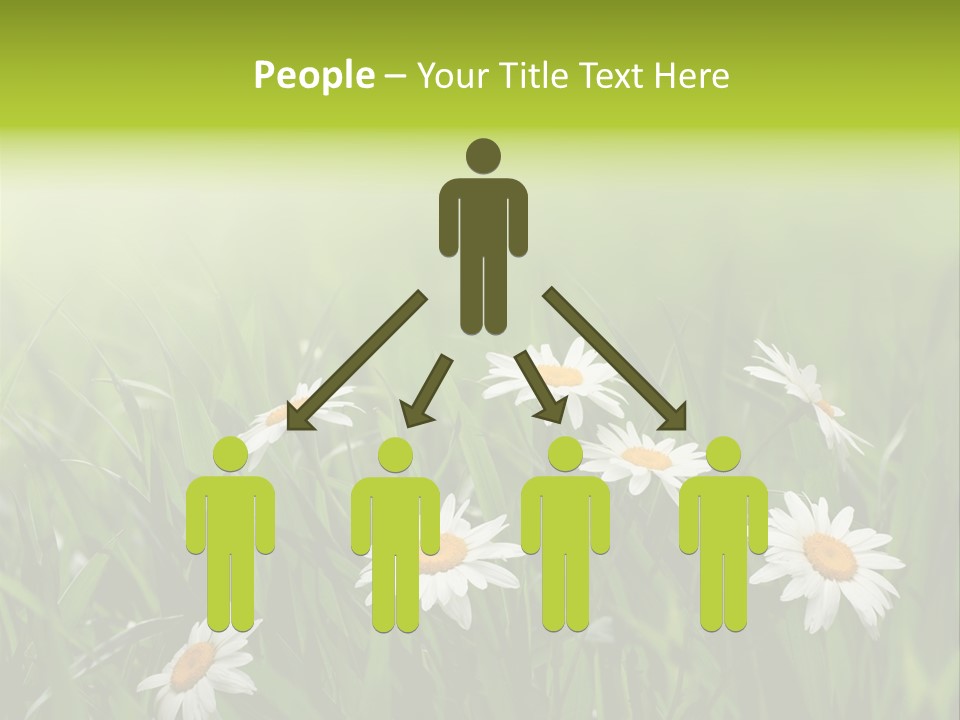 Daisy Beauty Herbal PowerPoint Template