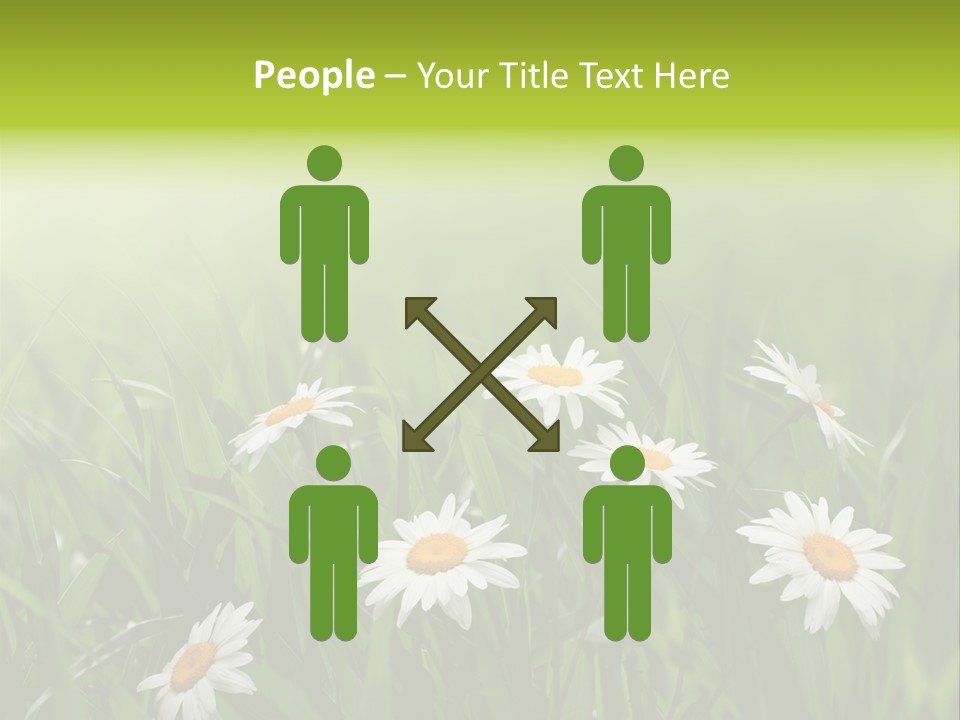 Daisy Beauty Herbal PowerPoint Template