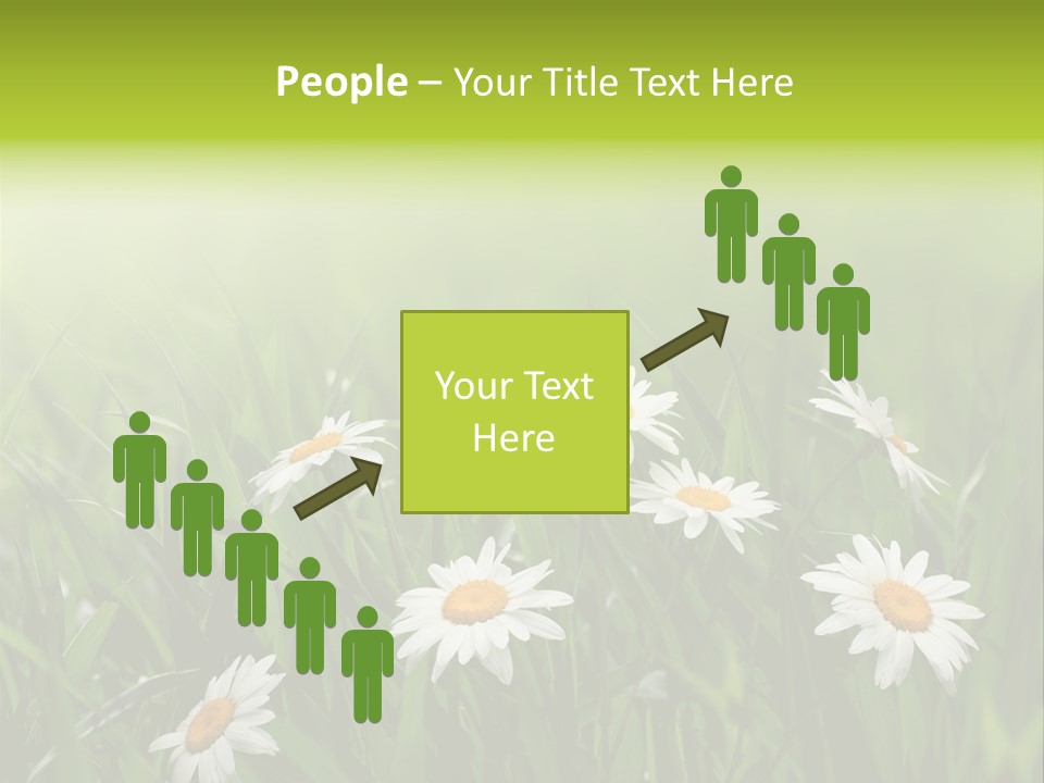 Daisy Beauty Herbal PowerPoint Template