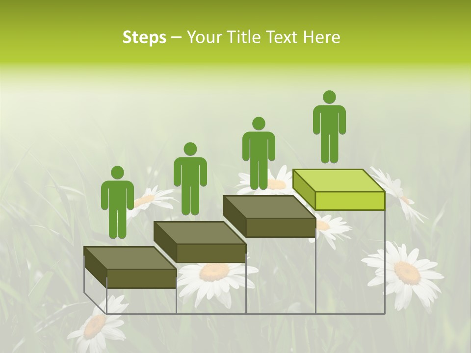 Daisy Beauty Herbal PowerPoint Template