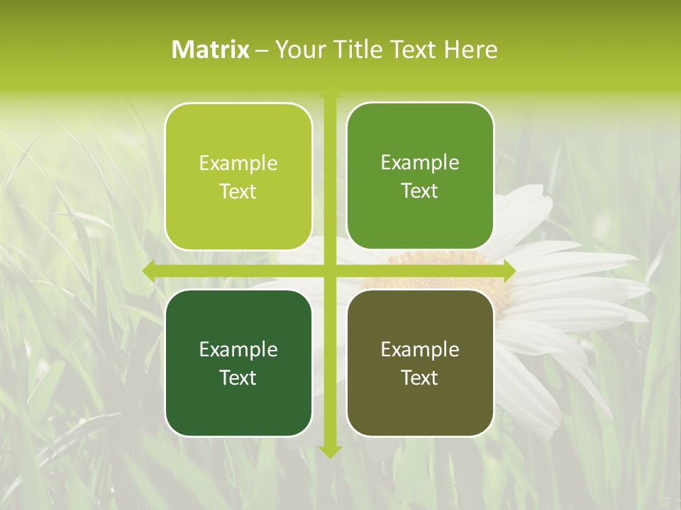 Macro Light Meadow PowerPoint Template