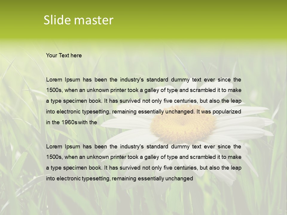 Macro Light Meadow PowerPoint Template
