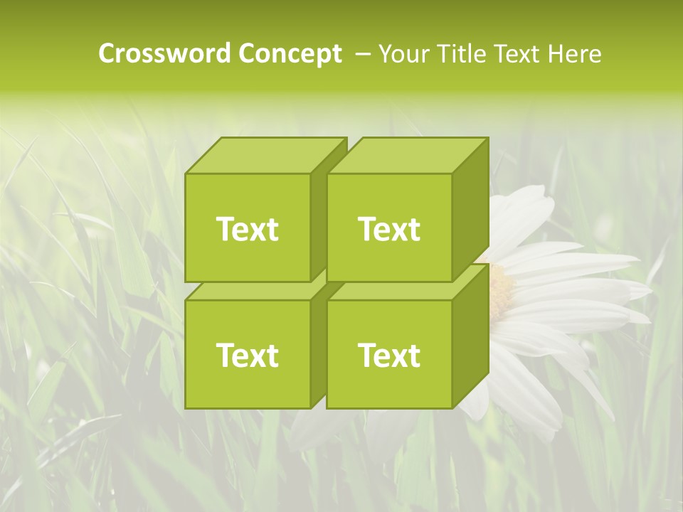 Macro Light Meadow PowerPoint Template