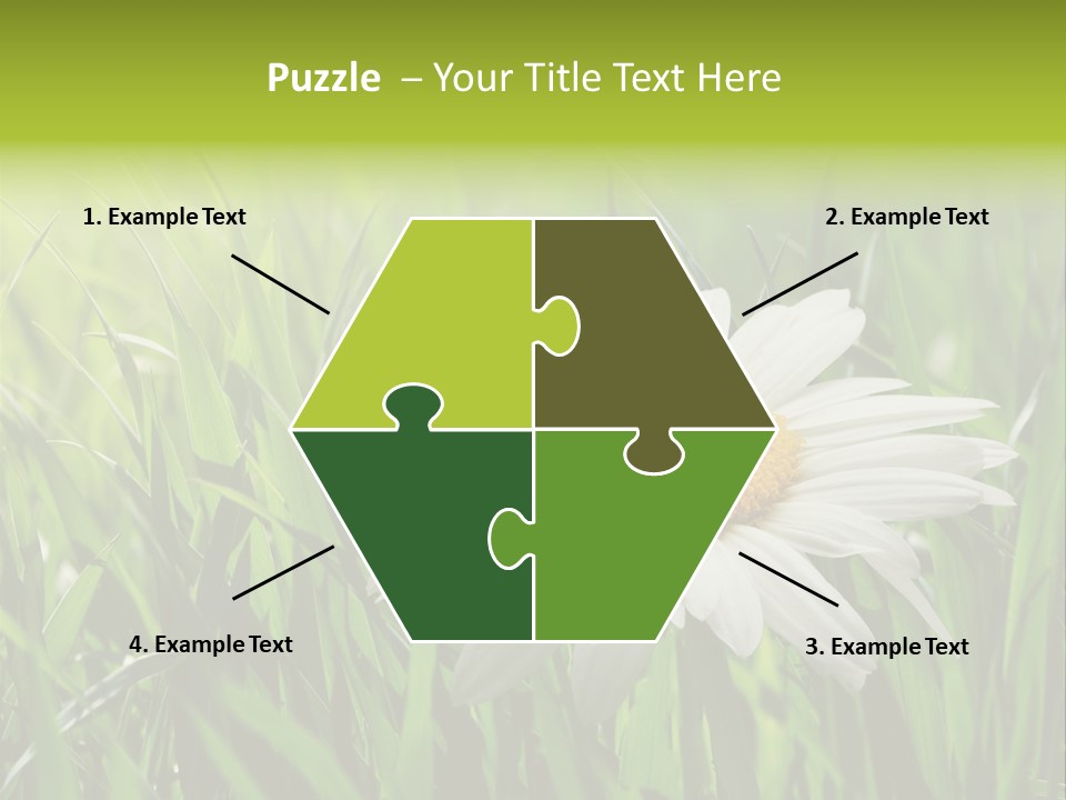 Macro Light Meadow PowerPoint Template