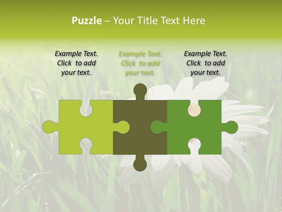 Macro Light Meadow PowerPoint Template