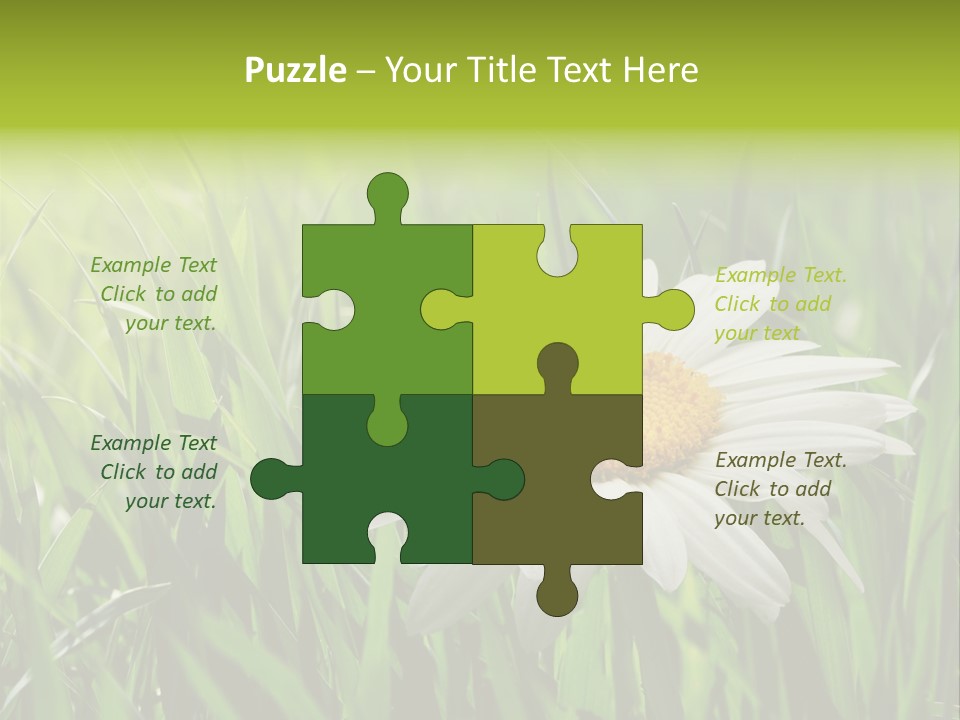Macro Light Meadow PowerPoint Template