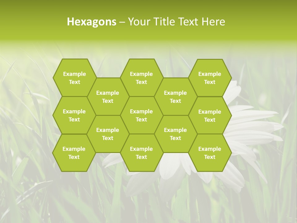 Macro Light Meadow PowerPoint Template