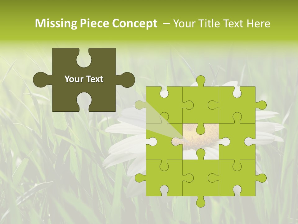 Macro Light Meadow PowerPoint Template