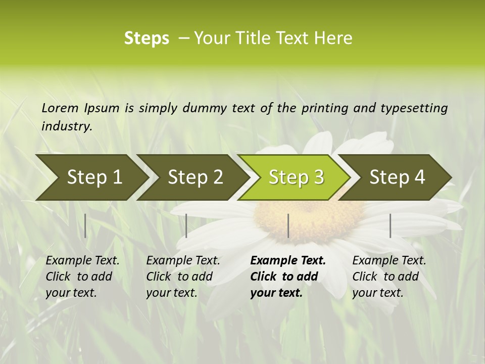 Macro Light Meadow PowerPoint Template