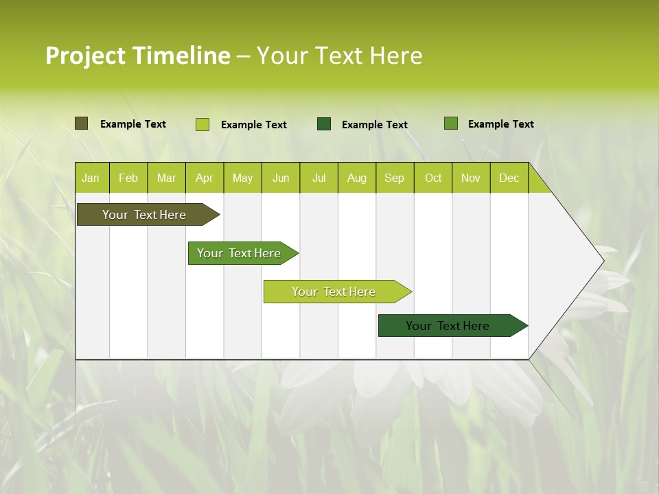 Macro Light Meadow PowerPoint Template