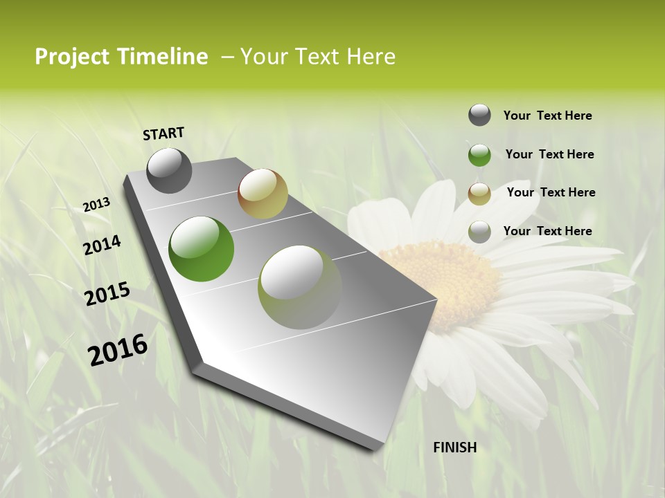 Macro Light Meadow PowerPoint Template