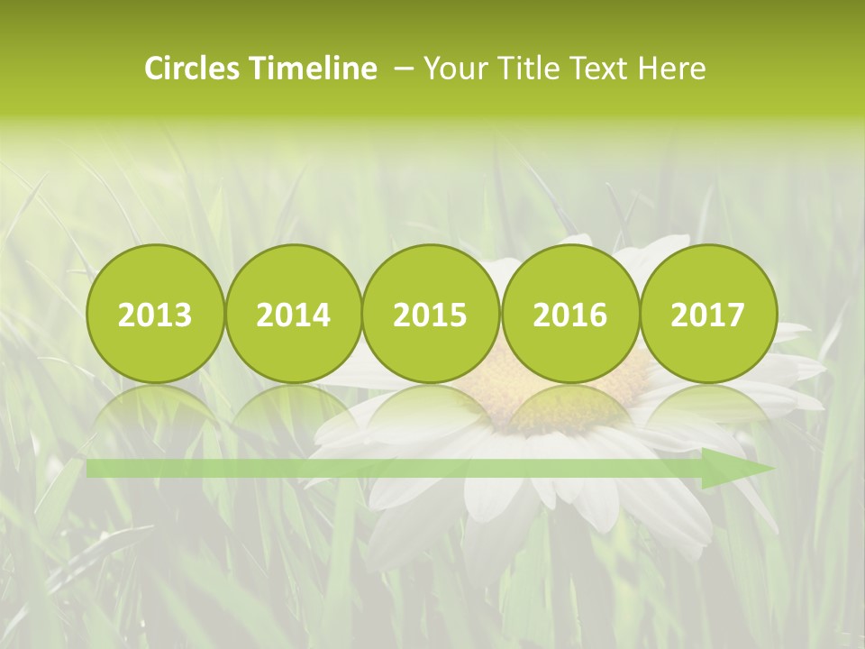 Macro Light Meadow PowerPoint Template