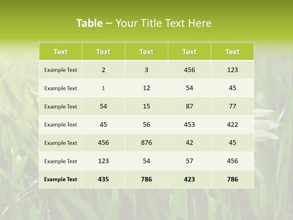 Macro Light Meadow PowerPoint Template