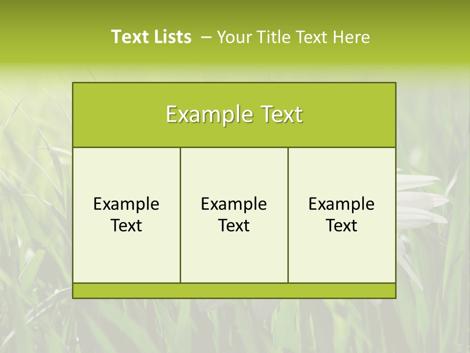 Macro Light Meadow PowerPoint Template