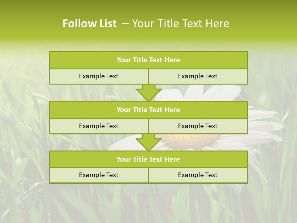 Macro Light Meadow PowerPoint Template