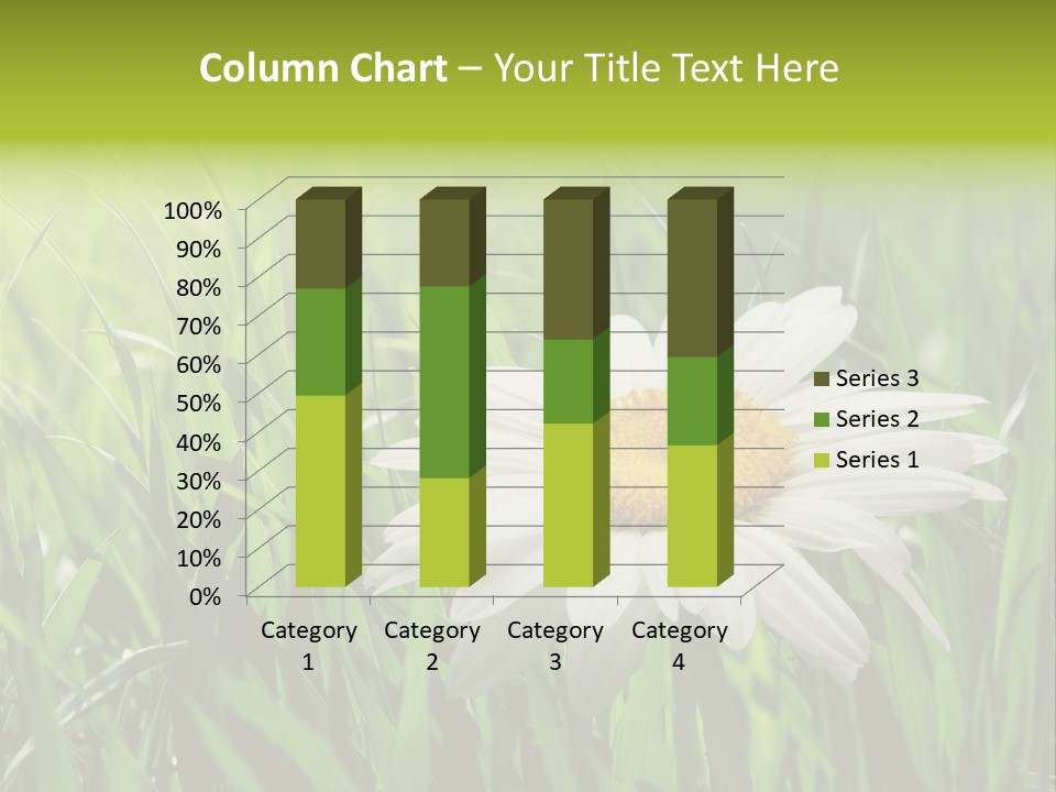 Macro Light Meadow PowerPoint Template